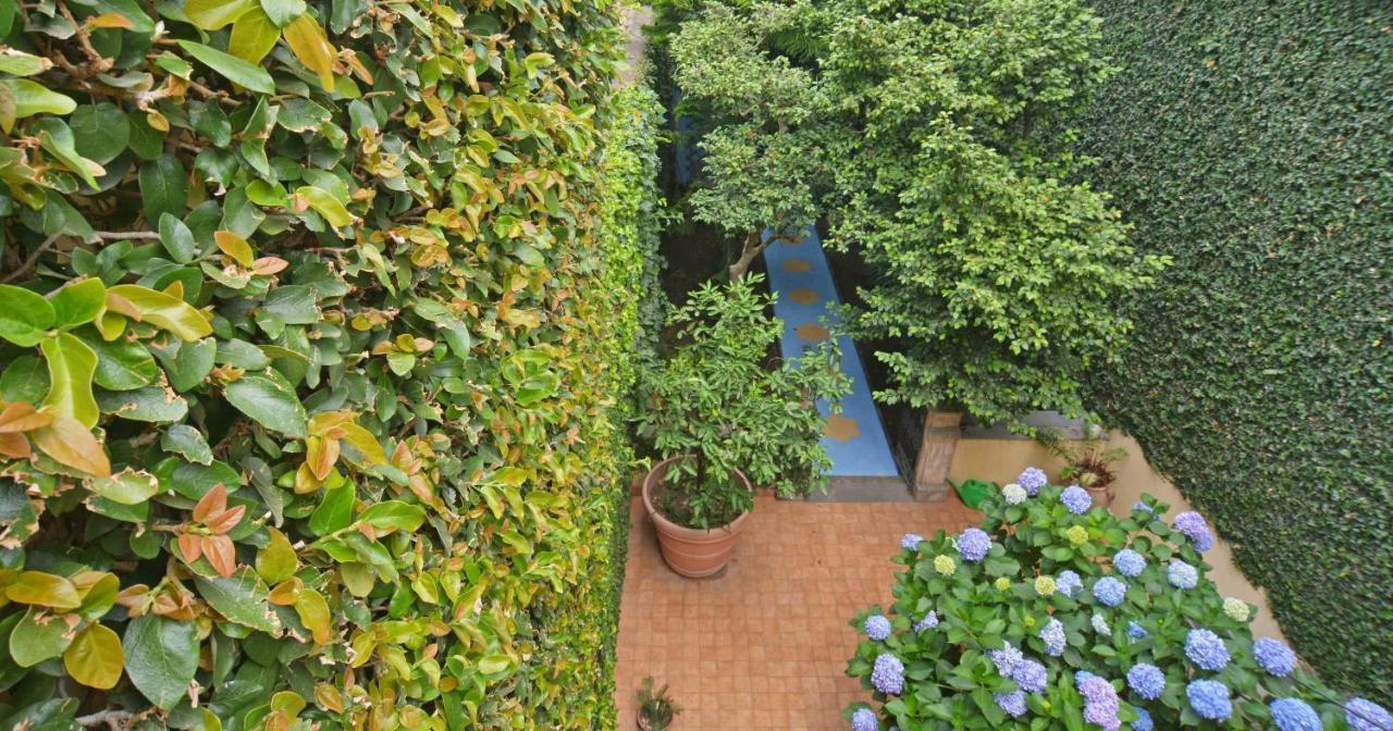 ריפוסטו B&B Di Charme Camelie Palazzo Nicotra מראה חיצוני תמונה